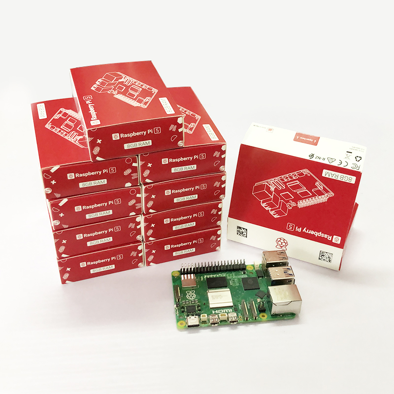 Raspberry Pi 5 8Gb Board - لوحة تطوير راسبيري باي 5 بذاكرة